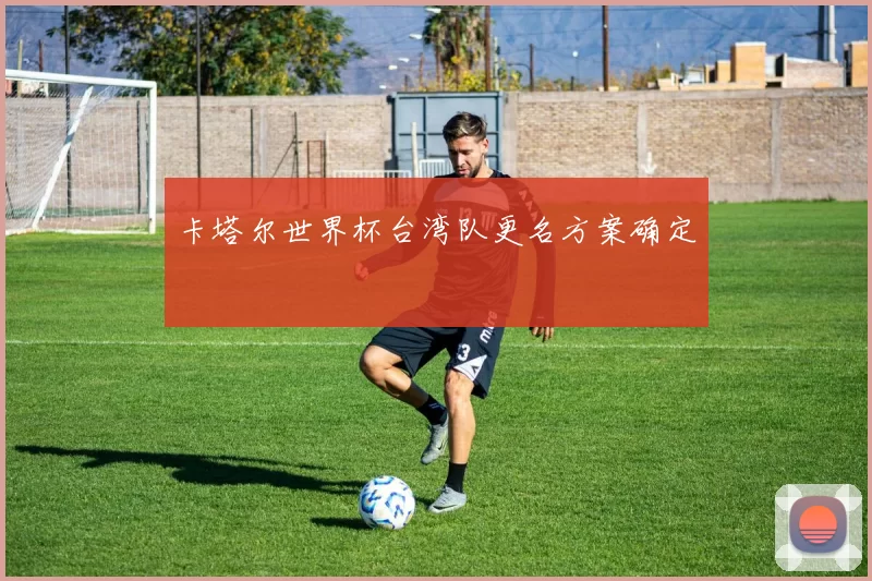 卡塔尔世界杯台湾队更名方案确定