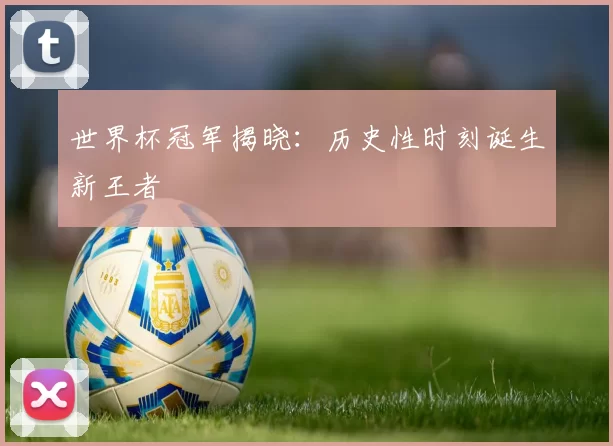 世界杯冠军揭晓：历史性时刻诞生新王者