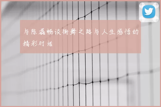与陈磊畅谈街舞之路与人生感悟的精彩对话