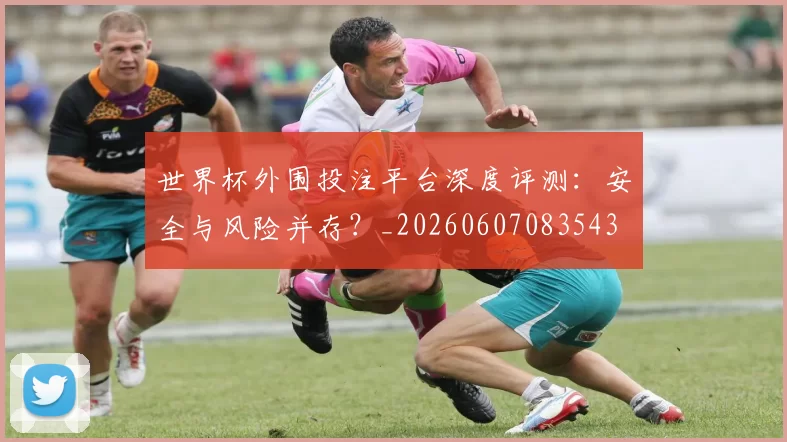 世界杯外围投注平台深度评测:安全与风险并存?_20260607083543