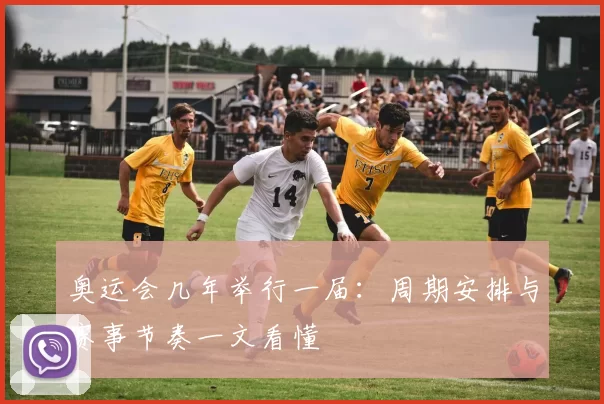 奥运会几年举行一届:周期安排与赛事节奏一文看懂
