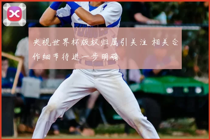 央视世界杯版权归属引关注 相关合作细节待进一步明确