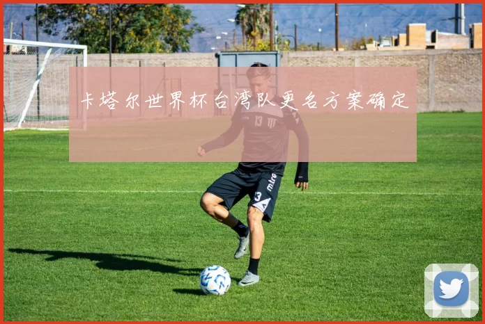卡塔尔世界杯台湾队更名方案确定