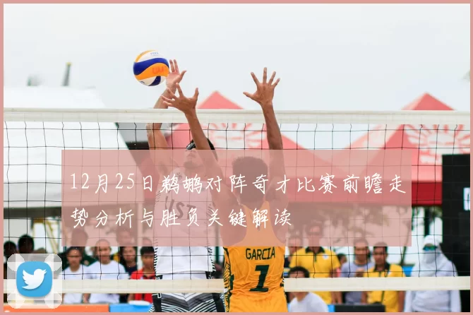 12月25日鹈鹕对阵奇才比赛前瞻走势分析与胜负关键解读