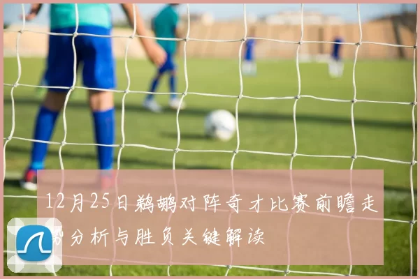 12月25日鹈鹕对阵奇才比赛前瞻走势分析与胜负关键解读