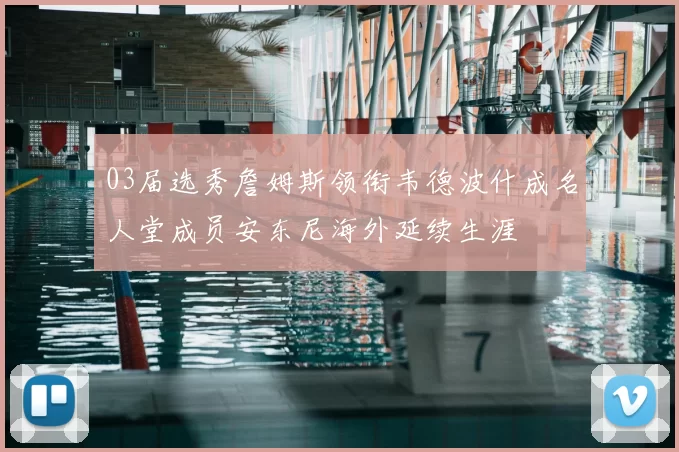 03届选秀詹姆斯领衔韦德波什成名人堂成员安东尼海外延续生涯