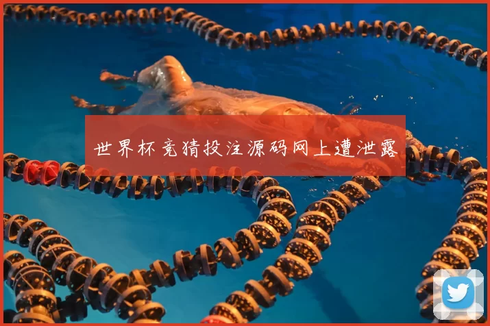 世界杯竞猜投注源码网上遭泄露