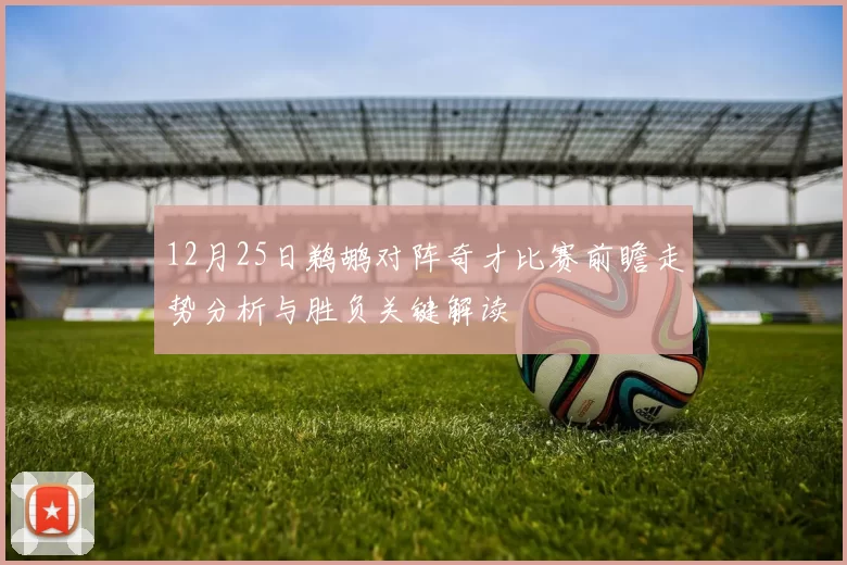 12月25日鹈鹕对阵奇才比赛前瞻走势分析与胜负关键解读