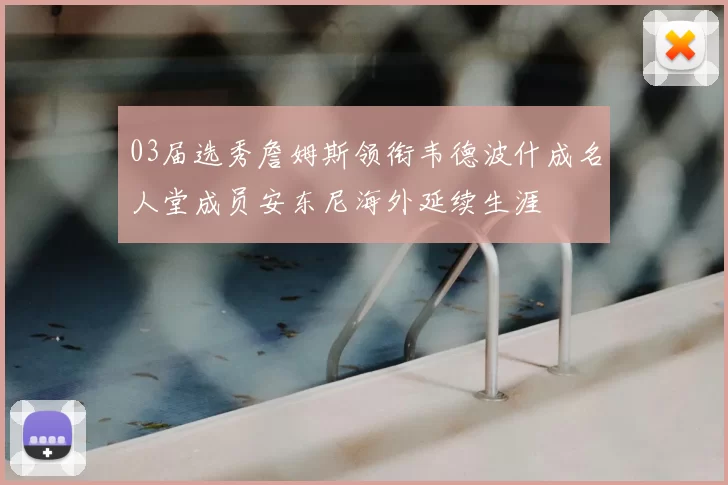 03届选秀詹姆斯领衔韦德波什成名人堂成员安东尼海外延续生涯