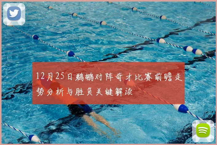 12月25日鹈鹕对阵奇才比赛前瞻走势分析与胜负关键解读