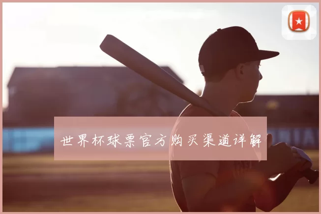 世界杯球票官方购买渠道详解