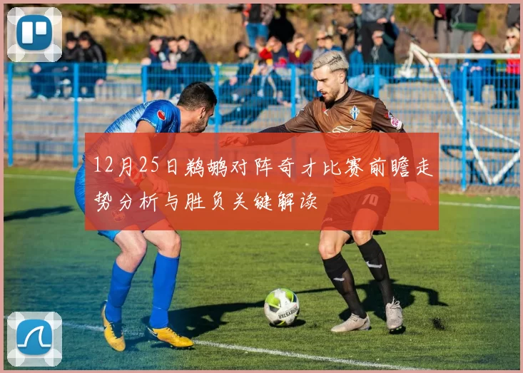 12月25日鹈鹕对阵奇才比赛前瞻走势分析与胜负关键解读