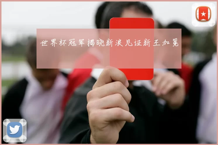 世界杯冠军揭晓新浪见证新王加冕