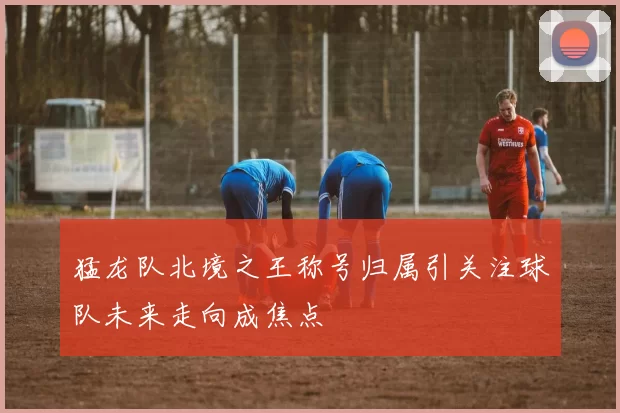猛龙队北境之王称号归属引关注球队未来走向成焦点