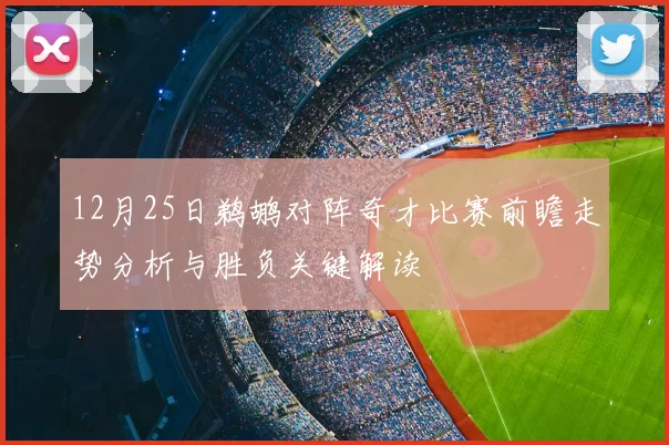 12月25日鹈鹕对阵奇才比赛前瞻走势分析与胜负关键解读